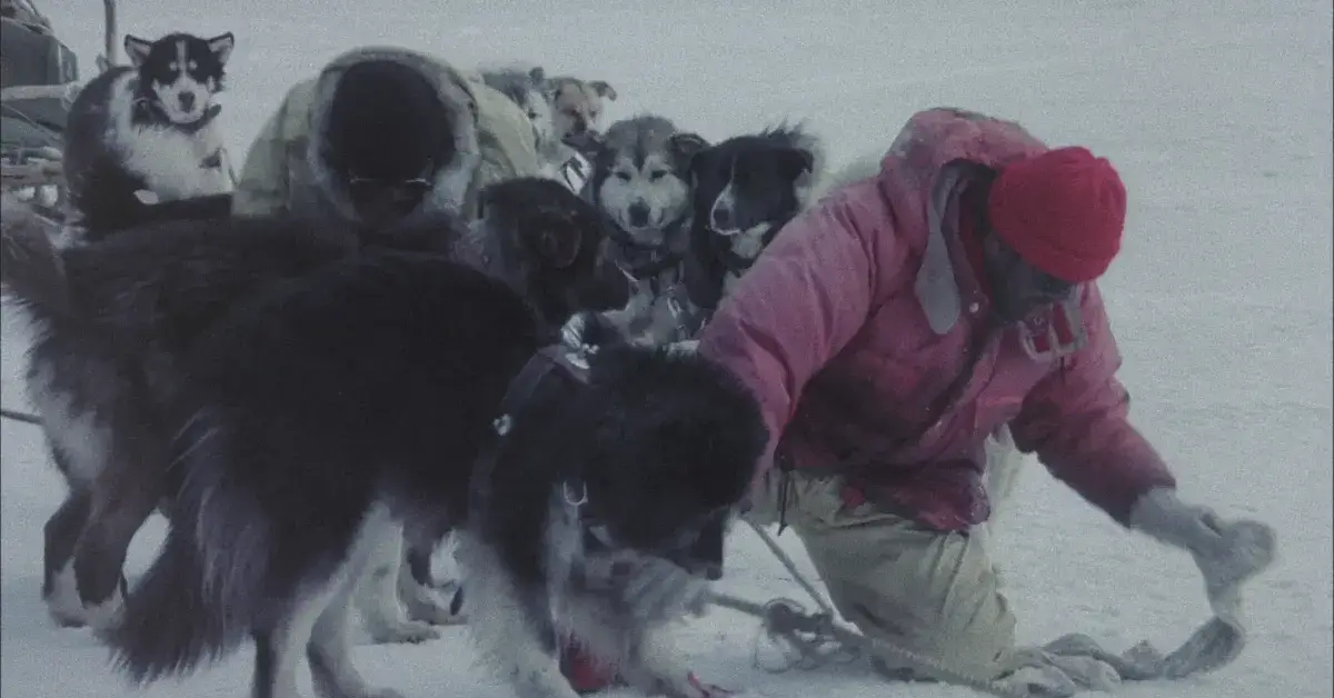 Постер к обзору фильма «Антарктика» (Nankyoku Monogatari), 1983